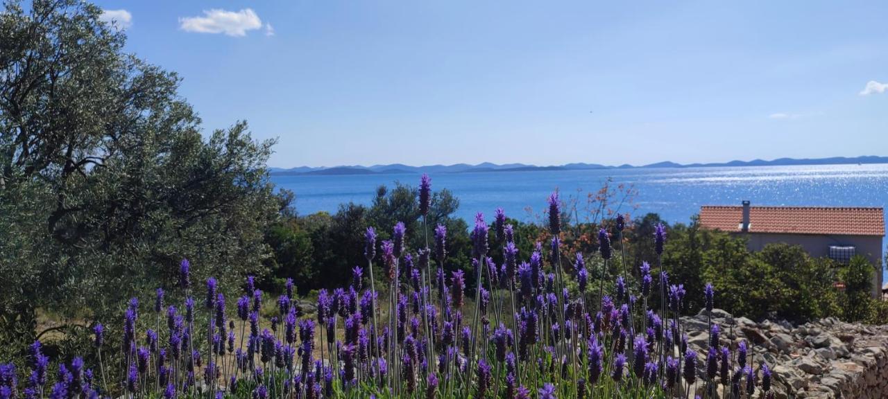 Sea House Anka Villa Banj Eksteriør billede